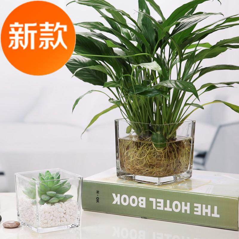 速发特大号欧式好看四方玻璃花瓶水培花瓶卧室方缸容器长方瓶插花