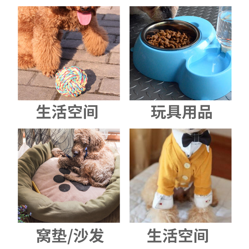 阿巴乔宠物猫咪狗用次氯酸消毒液水F剂喷雾皮肤免洗无酒精宠物杀