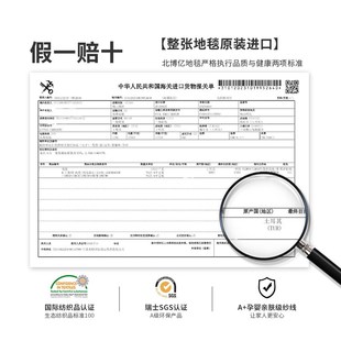 轻奢高级感现代简约高端沙发 2025a新土耳其进口地毯客厅新款