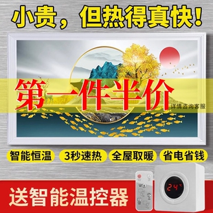 石墨烯取暖器碳晶墙暖壁画家用电发热板节能省电卧室壁挂式 暖气片