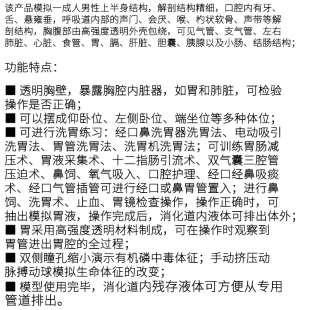 现货速发多功能透明洗胃训练模型鼻胃管气管插管护理模具胃镜检查