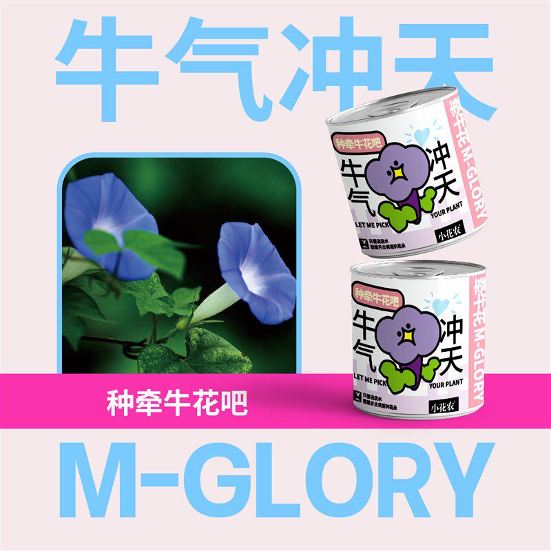 桌面植物网红爆款祝福盆栽绿植新款热卖小花农趣味祝福语种植