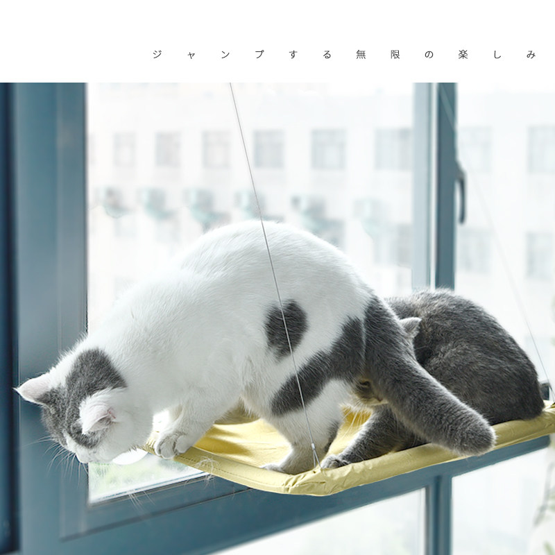 猫吊床吸盘式挂式挂床挂篮猫窝猫咪窗户秋千挂窝窗台玻璃猫咪用品,宠物/宠物食品及用品,猫狗床/躺椅,淘宝优惠券,粉丝福利购,淘宝优惠卷