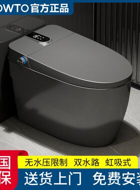 正品语音全自动枪灰色智能马桶一体式带水箱家用虹吸式杀菌坐便器