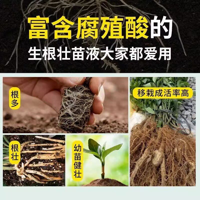 现货死树10年快速m救活 大树成活营养液枯树烂根黄叶烂苗生根药水