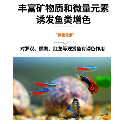 鱼缸瓷材净水f细菌屋过滤材料水族箱玻璃陶滤环山性炭珊瑚骨火活