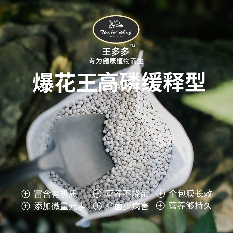 种花王大爷 王i多多爆花王长效高磷缓释型营养颗粒植物通用型促花