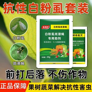 盈满田抗性白粉虱斑潜蝇专用蔬菜果树大田通用前打后落专用助剂