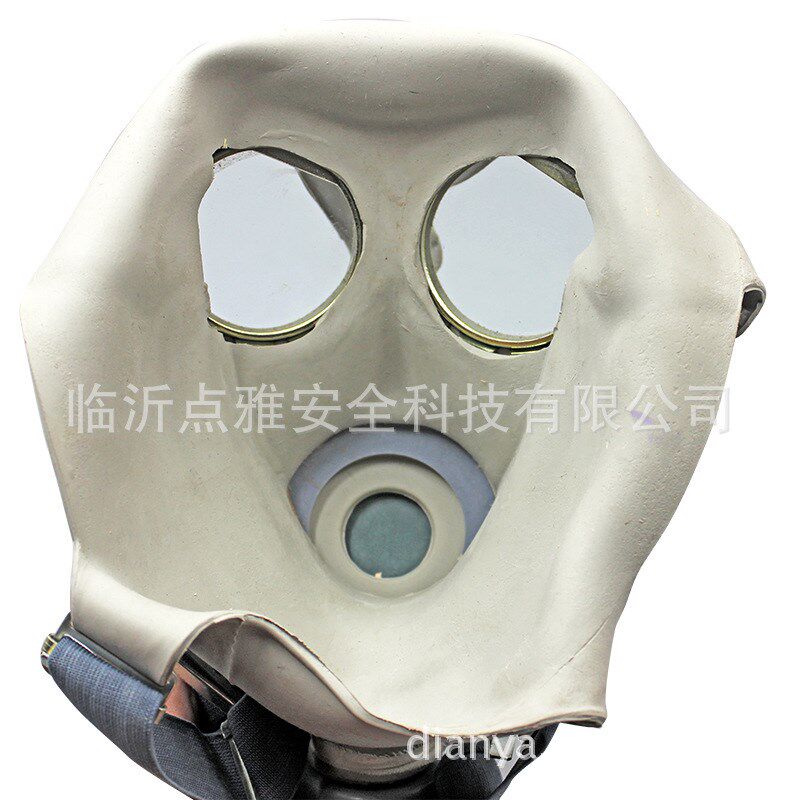 防毒面具 喷漆化工农药防甲醛全面罩 消防全N面具军防毒口罩64式