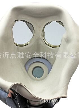 防毒面具 喷漆化工农药防甲醛全面罩 消防全N面具军防毒口罩64式