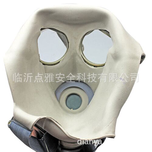 防毒面具 喷漆化工农药防甲醛全面罩 消防全N面具军防毒口罩64式