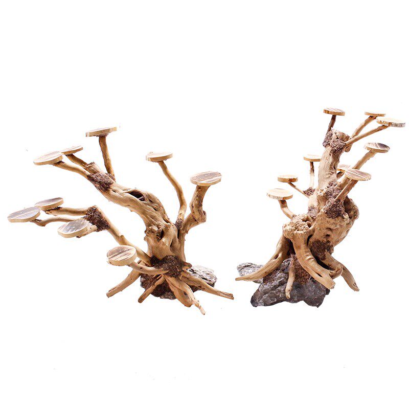 鱼缸造景沉木树圆头莫斯树椰壳片水草树迎客松骨架成品草缸树桩根