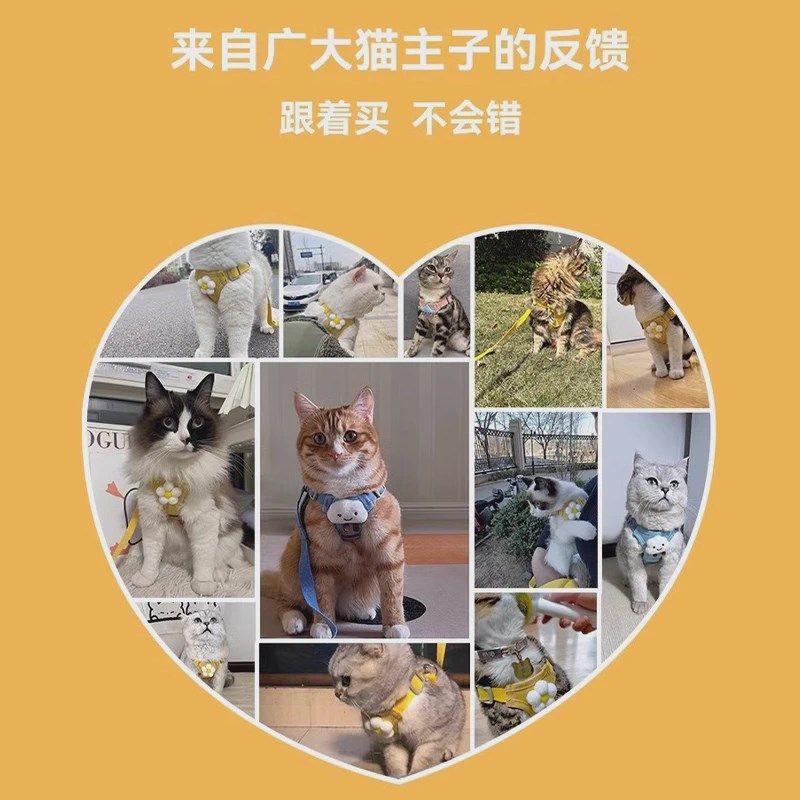 猫咪牵引绳防挣脱胸背带专用遛猫绳子背心式外出幼猫神器宠物新品,宠物/宠物食品及用品,猫牵引绳,淘宝优惠券,粉丝福利购,淘宝优惠卷