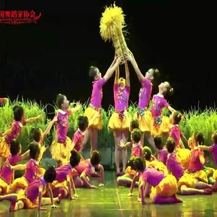 舞台演出服装 田野儿童舞蹈表演服装 道具 第十届小荷风采我们 新款