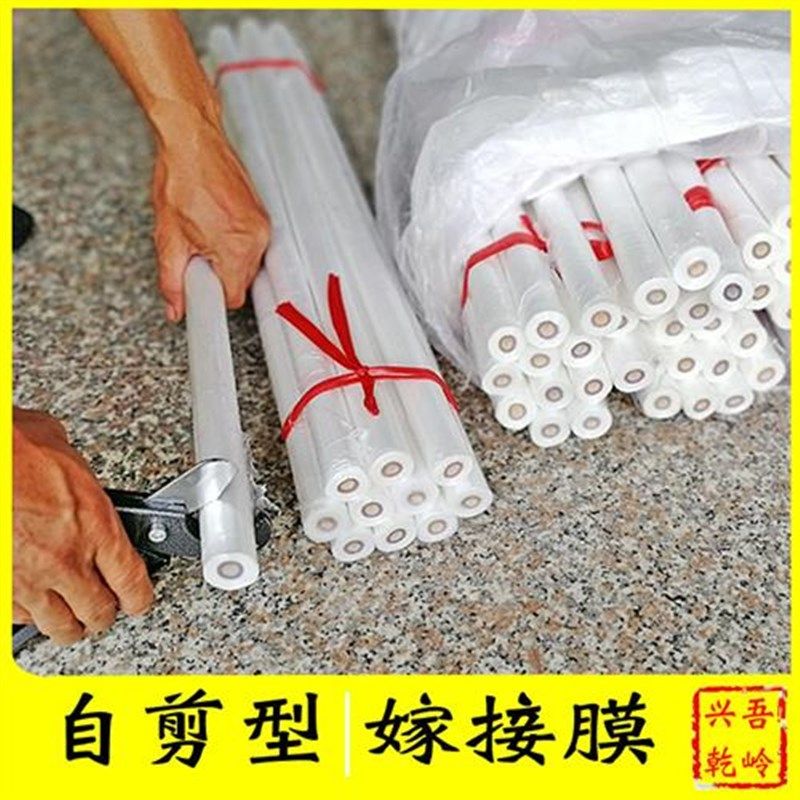 果树嫁接膜自剪型嫁接可降解超薄款塑料膜新款荔枝嫁接带