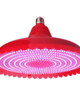 ()猪肉灯leid生鲜灯照肉灯卤肉卤菜熟食场摊位蔬菜红色水果店暖