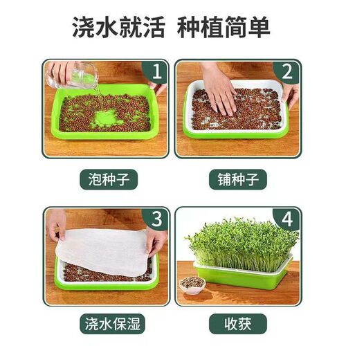 豆芽发芽盘d水培蔬菜设备 豌豆苗种植架无土栽培家用芽苗菜育苗盆