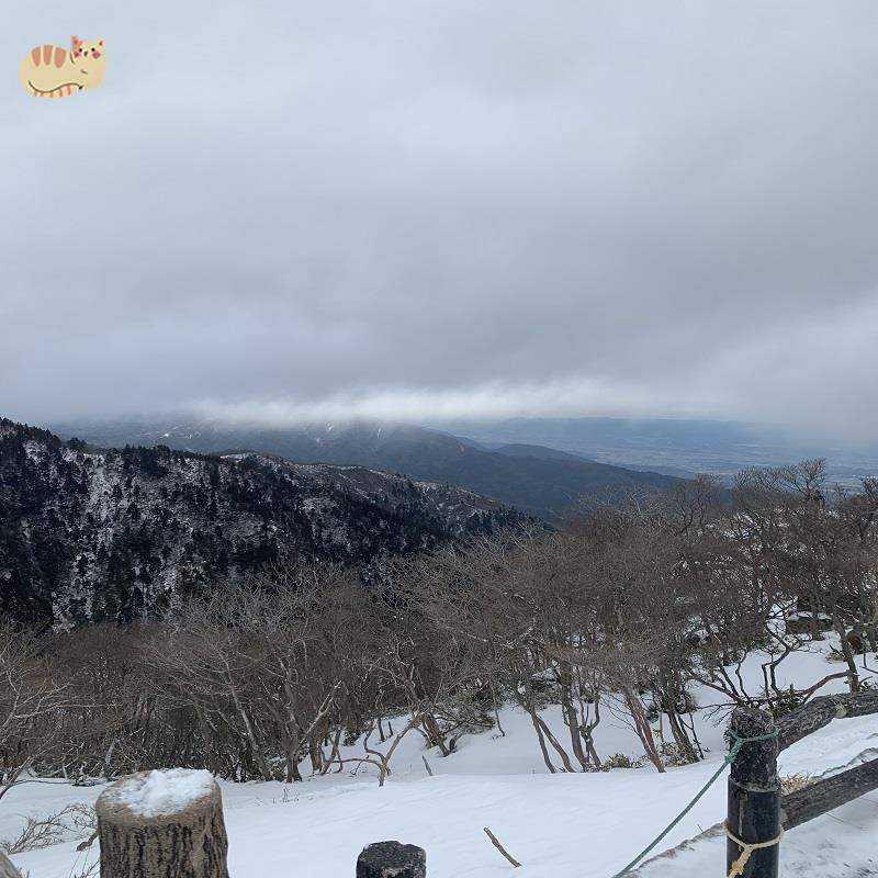 中式喜庆春联过年挂联新s春对联大门农村春节高档绒面对练自带背