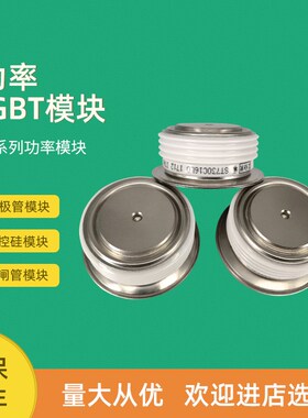 平板可控硅晶闸管56DN02 56DN04 56DN06 65DN02 65DN06