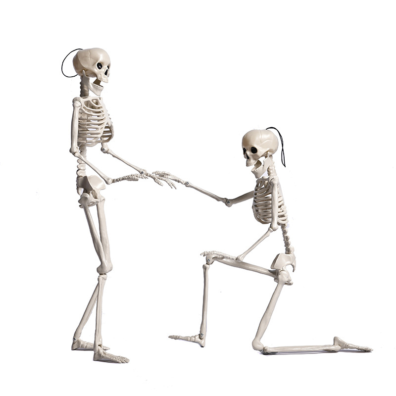 推荐Halloween Skeleton Props 60cm Skeleton Skeleton Simulati