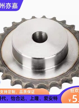 SP40B BSP40B SSP40B9 10 11 12 13 14 15-17-18-N/S 链轮