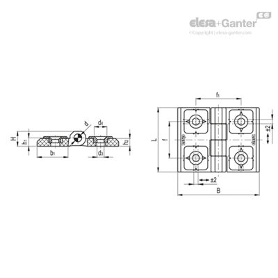 Elesa+Ganter 铰链CFR.带可调节嵌件的R铰链 高科技聚合体