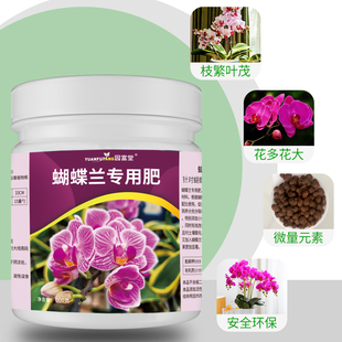 速发蝴蝶兰专用肥室内家用花肥复合肥蝴蝶兰盆栽植物通用型叶面水