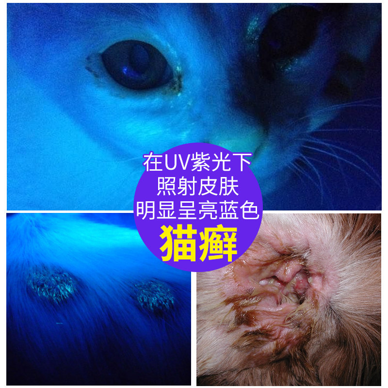 伍德氏灯照猫藓猫尿真菌检测紫外线手电筒荧光剂365nm紫光验钞灯