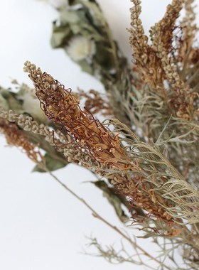 银桦叶干花 干树枝叶复古插花摆件 枯枝 枯叶装饰软装花材