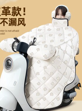 9九号Q80c85c65S电瓶电动车改装装饰配件冬季专用挡风被加绒加厚