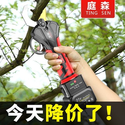 德国电动剪刀果树充电式修枝剪电剪子专用M园林锂电剪刀粗枝剪树