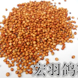 有机带壳红高粱米 未脱皮颗粒饱满 F鸽用杂粮50斤(江浙沪皖 )