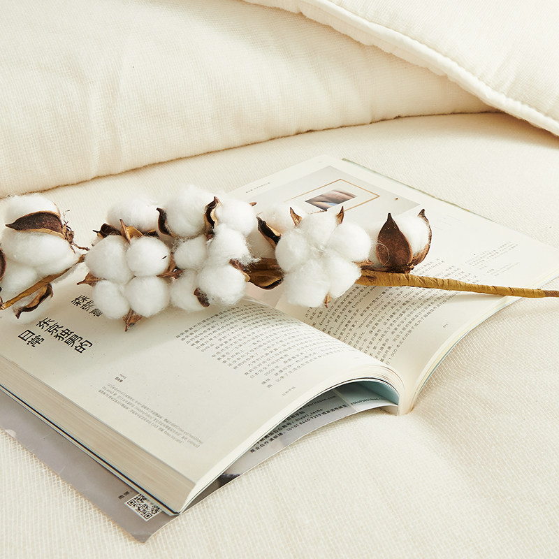 新疆花全棉被芯被子新棉垫被冬被加厚保暖被褥子冬季棉絮棉胎,床上用品,棉花被,淘宝优惠券,粉丝福利购,淘宝优惠卷