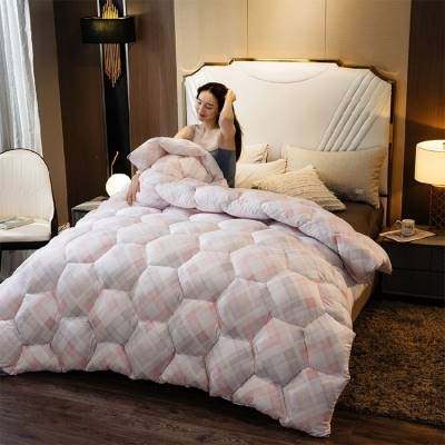 速发Winter quilt 2006 heavy sky 2.0 home bed * extra thick t