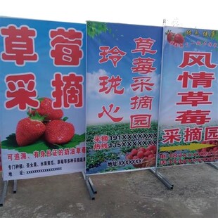 草莓园立式牌广告牌  落地草莓采摘海报贴纸 户外宣传喷绘布定制