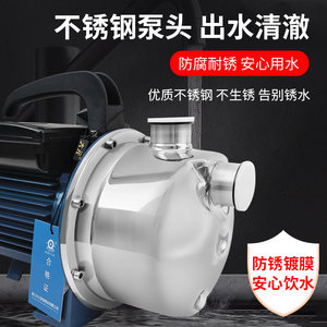 出水自吸泵