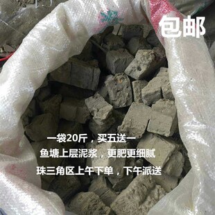 塘泥 养龟 池塘鱼塘荷塘泥土 营养土种菜种花睡莲泥巴 花园种现货