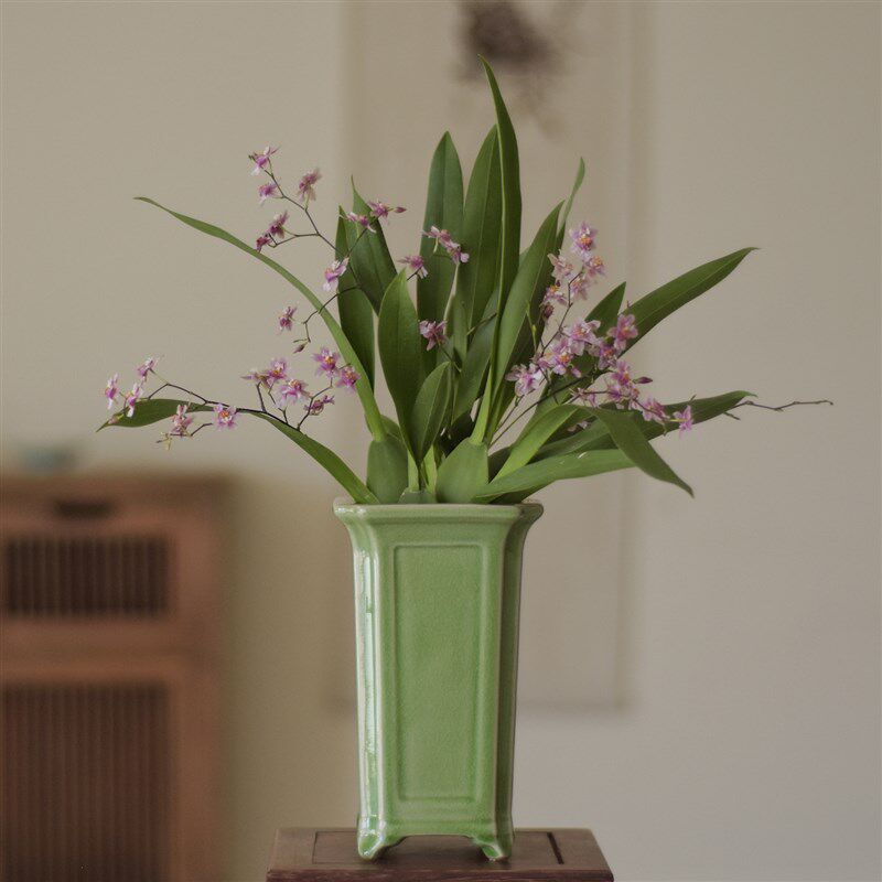 春天到家 粉色梦香兰盆栽室内绿植花卉办公室桌面好养花卉送礼