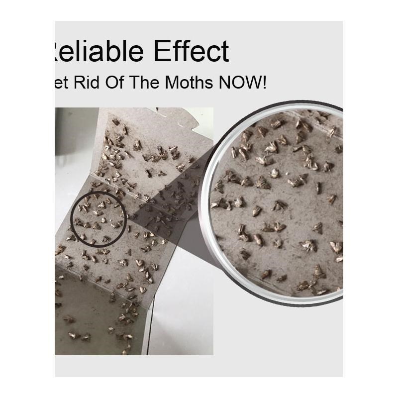 6/12pcs Clothes Pantry Food Moths Pheromone Killer y Glue Pe