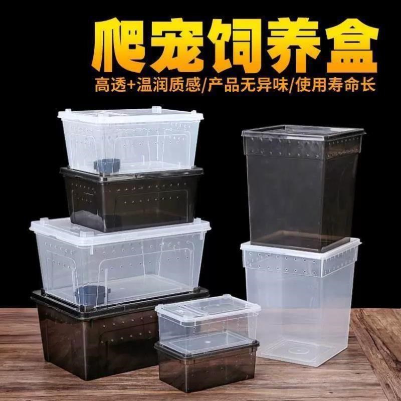 角蛙饲养盒青蛙小丑蛙宠物蛙爬宠小乌龟缸守宫带晒台塑料两栖箱.
