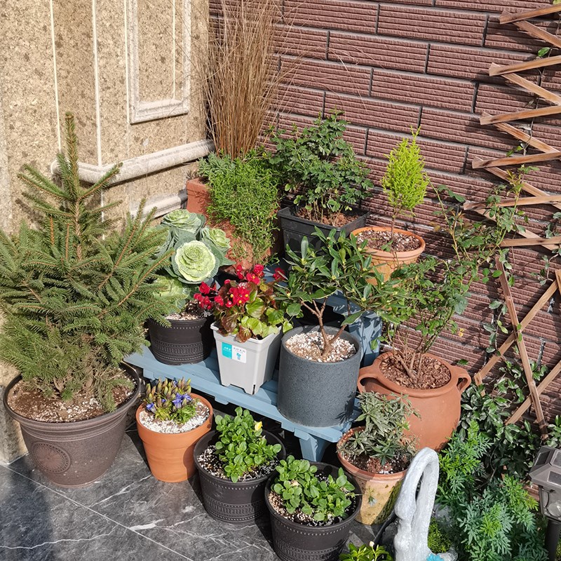 8V阶梯式二层复古蓝色实木花y架阳台庭院户外防水防腐落地式花盆