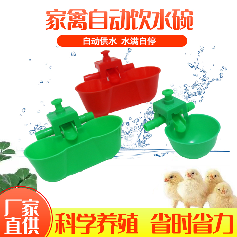 养殖场鸽子鹌鹑饮水碗 家禽鸡鸭鹅双碗可调饮水碗 自动碗式饮水器
