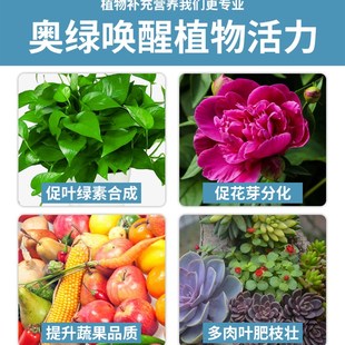 进口奥绿颗粒肥1号5号整q包25kg318s花卉多肉植物控释肥化肥花肥