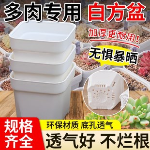 花盆2023新款 多肉 大口径植物简约磨砂创意叶插育苗盆特厚小