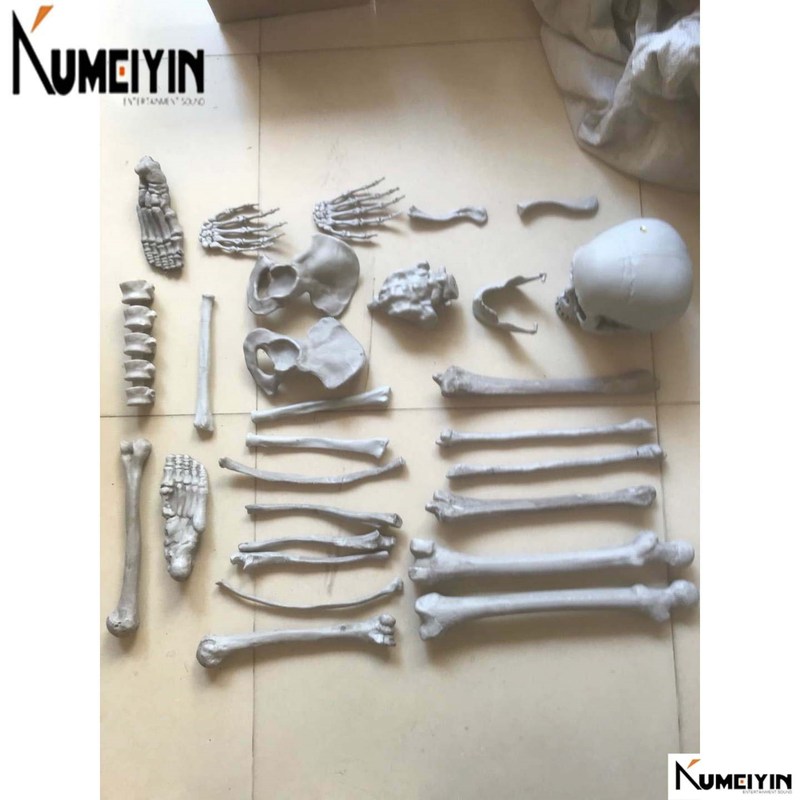 推荐-Halloween simulation skeleton body  horror props