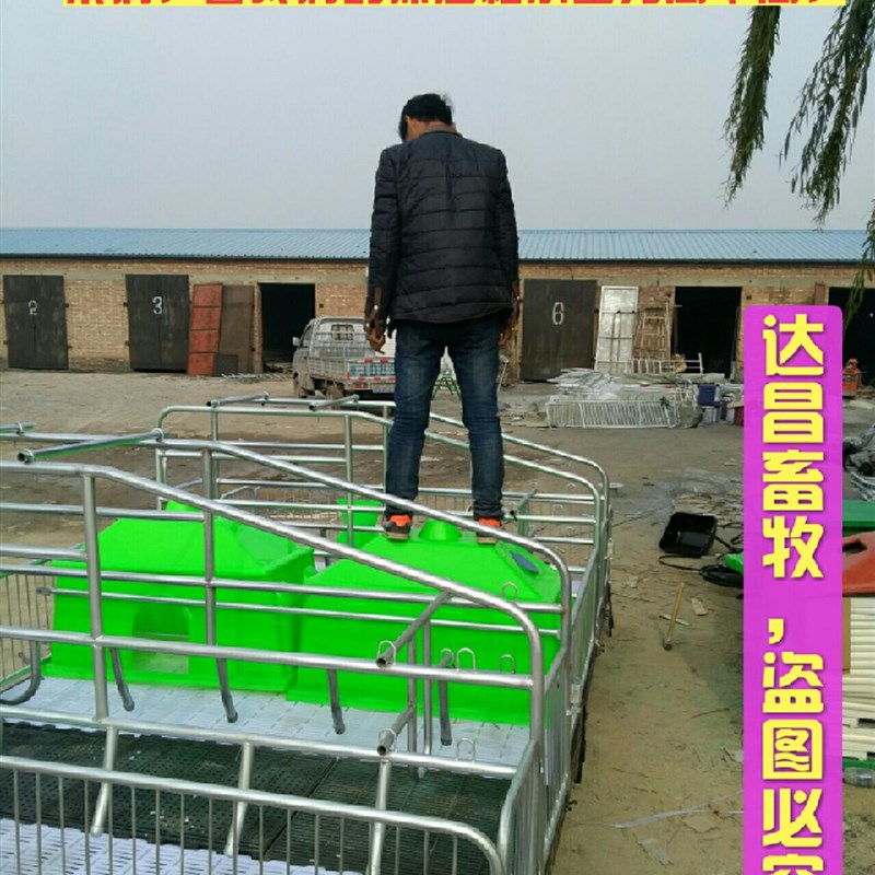 母猪产床猪产床铸铁产床分娩床小猪保育床仔猪保育床定位栏欧式床