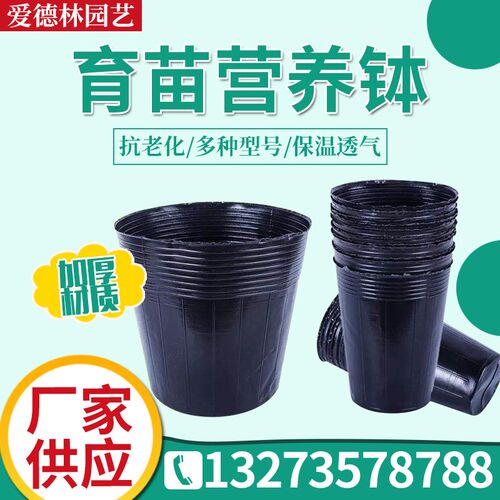 营养钵黑色营养杯塑料育苗杯一次性黑碗多肉花盆加厚育苗袋育苗盆