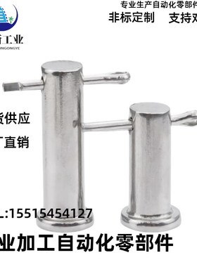 SHCCG SHCDG SHCCGH3 4 5 6 8 10-10 15 20 25 30铰链销CCG CCGH