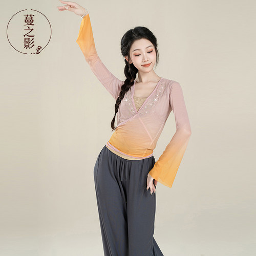 古典舞蹈服练功服现代舞服装纱衣中国舞表演服渐层烫钻艺考上衣女