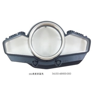 适用铃木骊驰睾丸GW250摩托车仪表面壳速度表面壳仪表上壳码 表壳